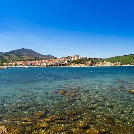 Bel 2 Pieces A Banyuls-sur-mer, Terrasse, Parking Prive, A 300m De La - Fr-1-225c-144 Apartment
